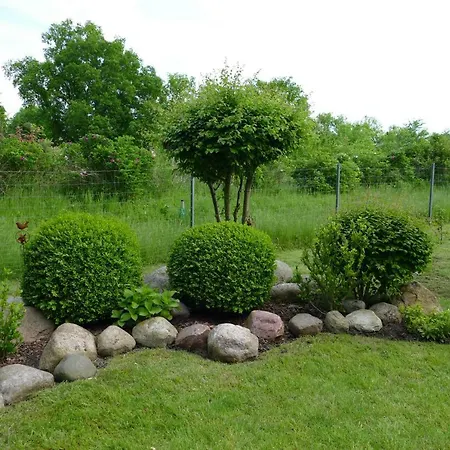 Blomengoorn * בולטנהאגן