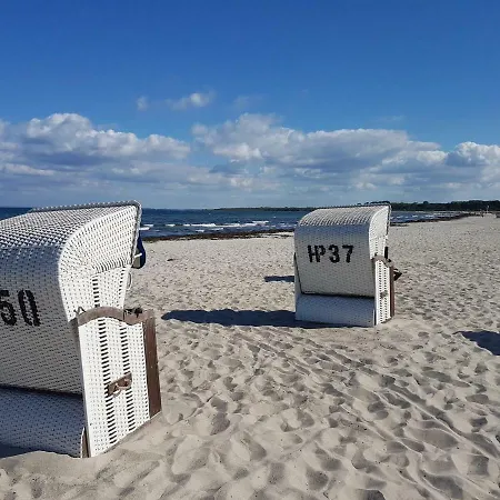 Blomengoorn בולטנהאגן