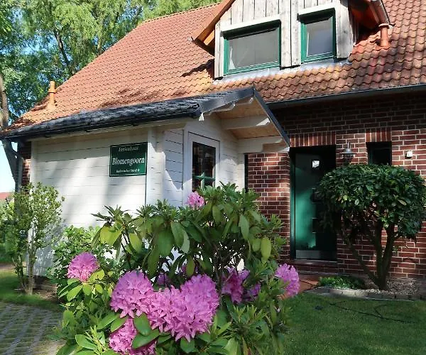 Ferienhaus Blomengoorn